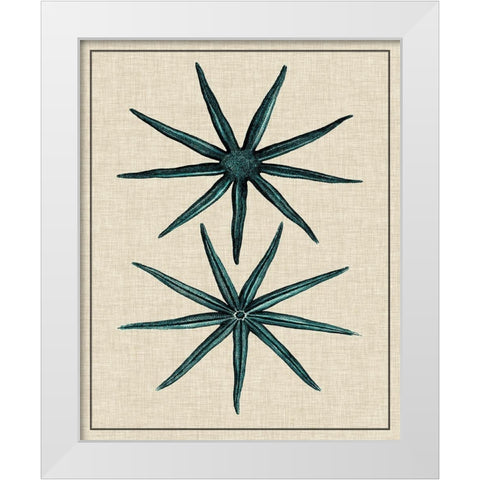 Coastal Starfish IV White Modern Wood Framed Art Print by Vision Studio