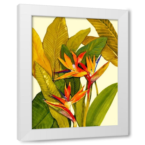 Tropical Bird of Paradise White Modern Wood Framed Art Print by OToole, Tim