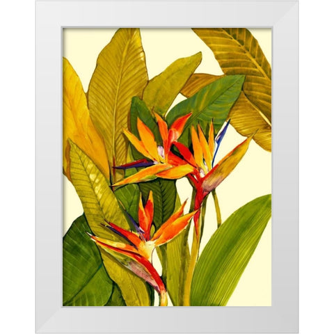 Tropical Bird of Paradise White Modern Wood Framed Art Print by OToole, Tim