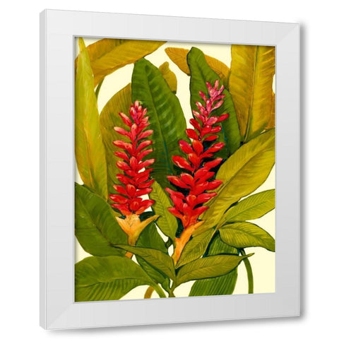 Tropical Red Ginger White Modern Wood Framed Art Print by OToole, Tim