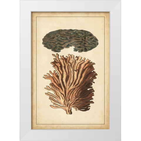 Coral Companion I White Modern Wood Framed Art Print by Vision Studio