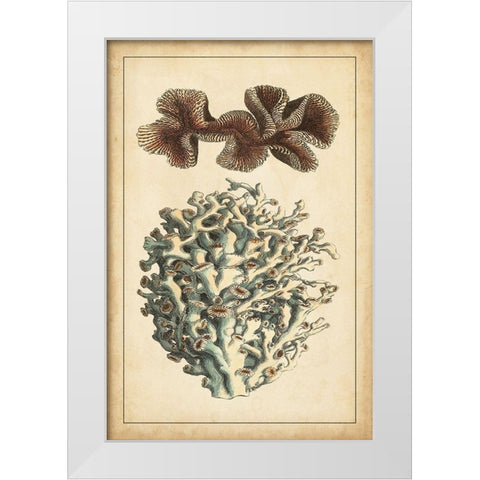 Coral Companion II White Modern Wood Framed Art Print by Vision Studio