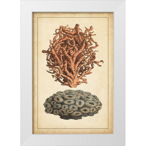 Coral Companion III White Modern Wood Framed Art Print by Vision Studio