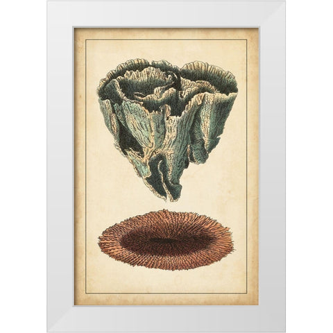 Coral Companion IV White Modern Wood Framed Art Print by Vision Studio