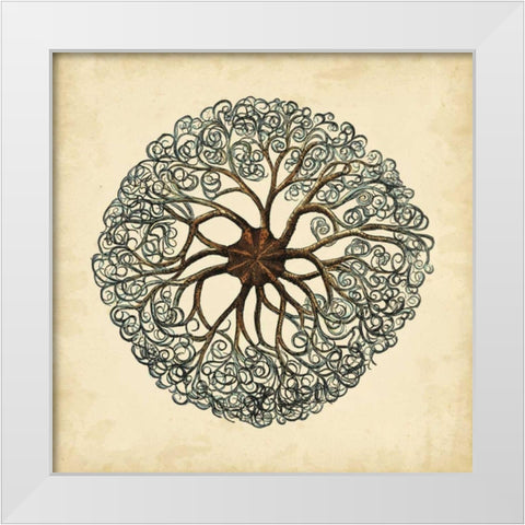 Gems of the Sea II White Modern Wood Framed Art Print by Vision Studio