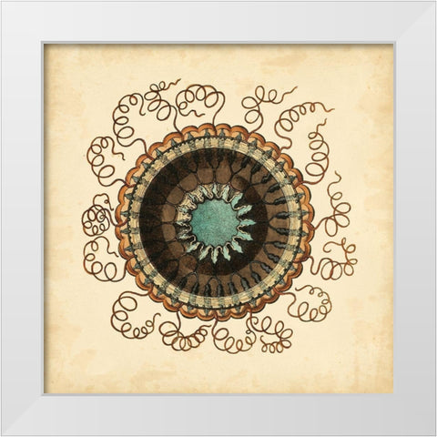 Gems of the Sea IV White Modern Wood Framed Art Print by Vision Studio