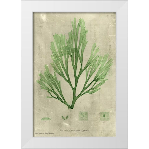 Emerald Seaweed II White Modern Wood Framed Art Print by Unknown