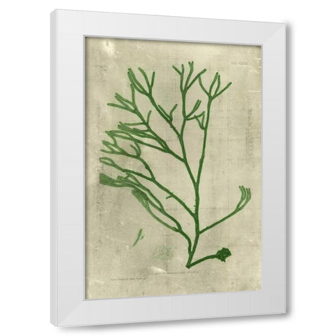 Emerald Seaweed III White Modern Wood Framed Art Print by Unknown