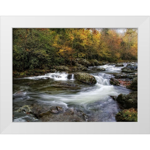 Autumn Dream White Modern Wood Framed Art Print by Head, Danny