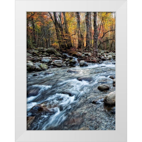 Porters Creek I White Modern Wood Framed Art Print by Head, Danny