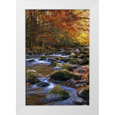Autumn on Little River White Modern Wood Framed Art Print by Head, Danny