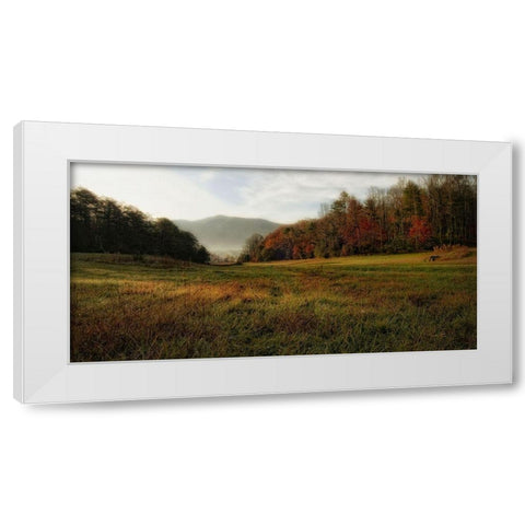 Warm Morning Light White Modern Wood Framed Art Print by Head, Danny