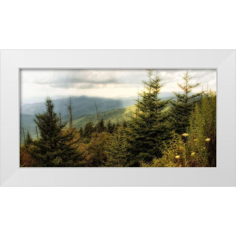 Early Autumn Vista White Modern Wood Framed Art Print by Head, Danny