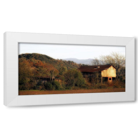 Past Prime White Modern Wood Framed Art Print by Head, Danny