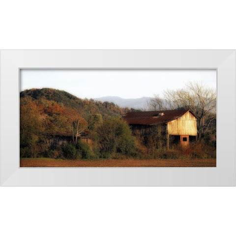 Past Prime White Modern Wood Framed Art Print by Head, Danny