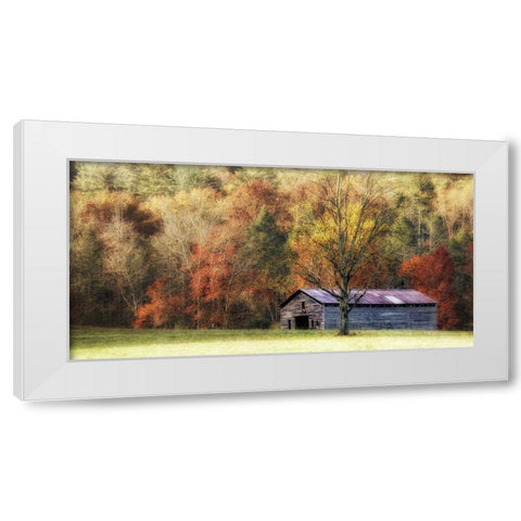 Waiting For the Harvest White Modern Wood Framed Art Print by Head, Danny