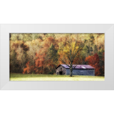 Waiting For the Harvest White Modern Wood Framed Art Print by Head, Danny