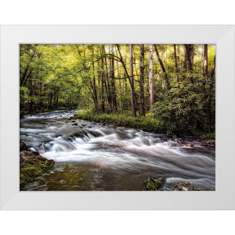 Sunlight on Jakes Creek II White Modern Wood Framed Art Print by Head, Danny