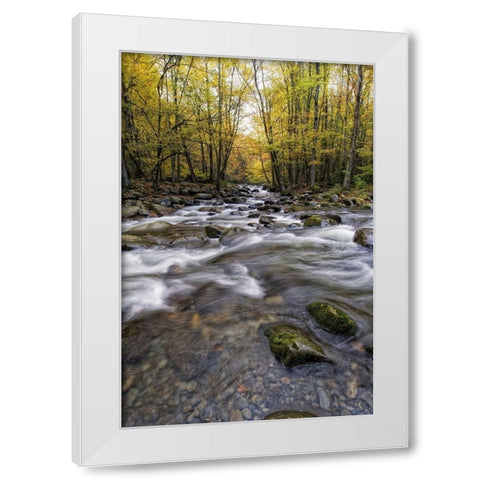 Roaring Waters II White Modern Wood Framed Art Print by Head, Danny