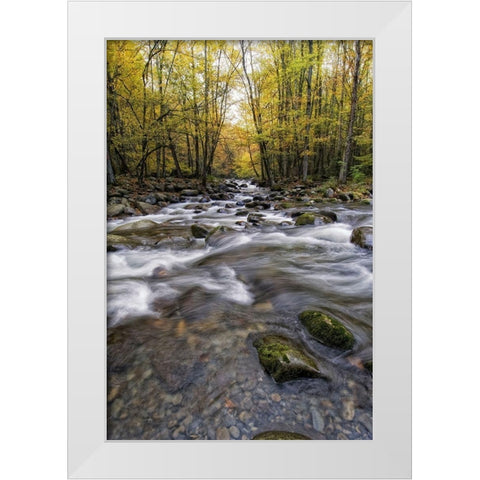Roaring Waters II White Modern Wood Framed Art Print by Head, Danny