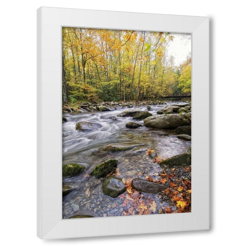 Roaring Waters III White Modern Wood Framed Art Print by Head, Danny