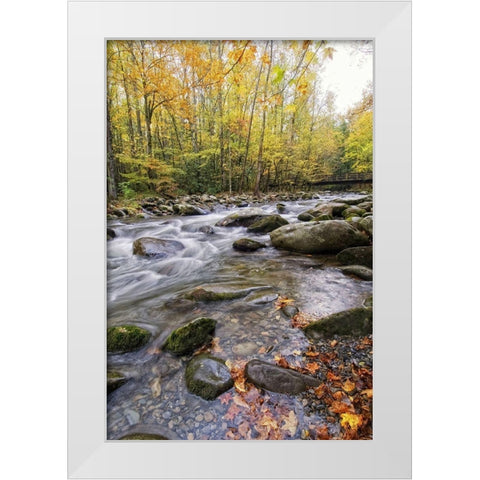 Roaring Waters III White Modern Wood Framed Art Print by Head, Danny