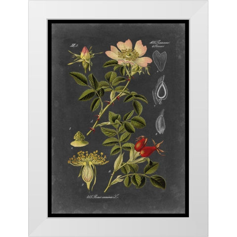 Midnight Botanical I White Modern Wood Framed Art Print by Vision Studio