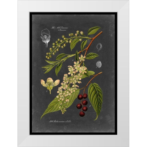 Midnight Botanical II White Modern Wood Framed Art Print by Vision Studio