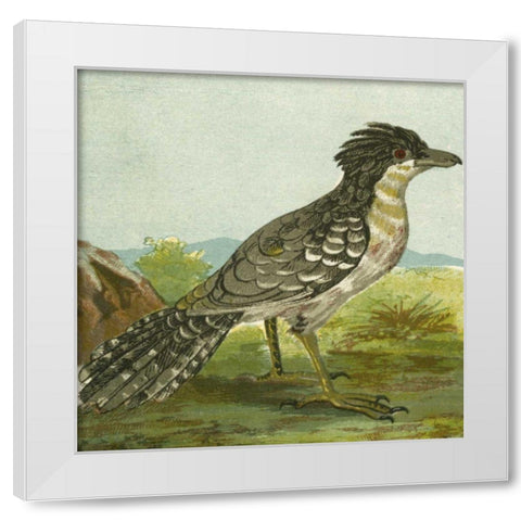 Mini Vintage Birds V White Modern Wood Framed Art Print by Unknown