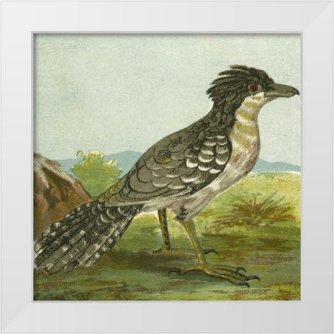 Mini Vintage Birds V White Modern Wood Framed Art Print by Unknown