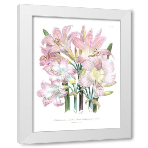 Lily Garden IV White Modern Wood Framed Art Print by Loudon, Jane