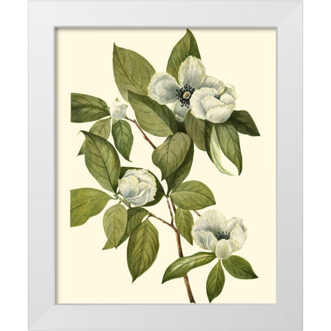 Delicate Foliage II White Modern Wood Framed Art Print by Unknown
