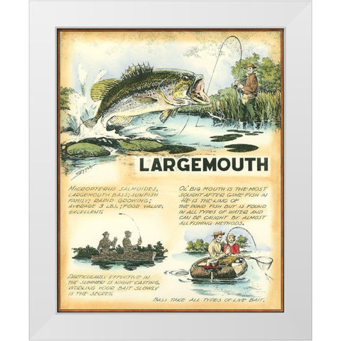 Large Mouth White Modern Wood Framed Art Print by Settle, Robert