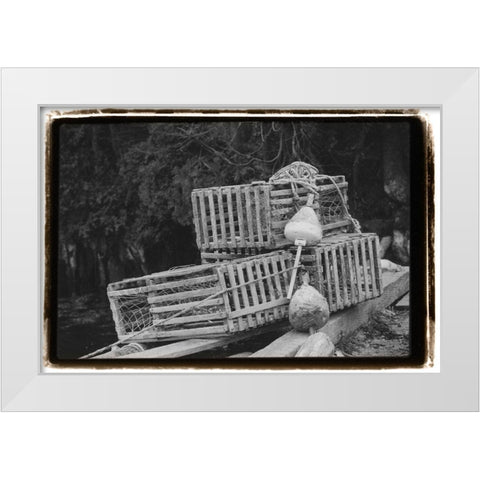 Trapped White Modern Wood Framed Art Print by DeNardo, Laura