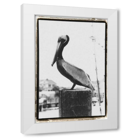 Pelican Perch White Modern Wood Framed Art Print by DeNardo, Laura