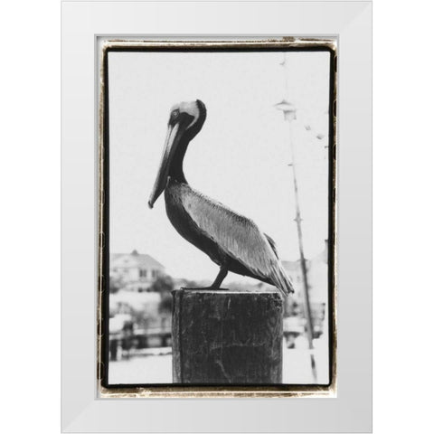 Pelican Perch White Modern Wood Framed Art Print by DeNardo, Laura