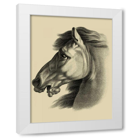 Equestrian Portrait III White Modern Wood Framed Art Print by Vision Studio