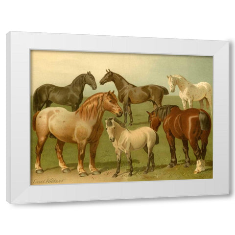 Horse Breeds II White Modern Wood Framed Art Print by Volkers, Emil