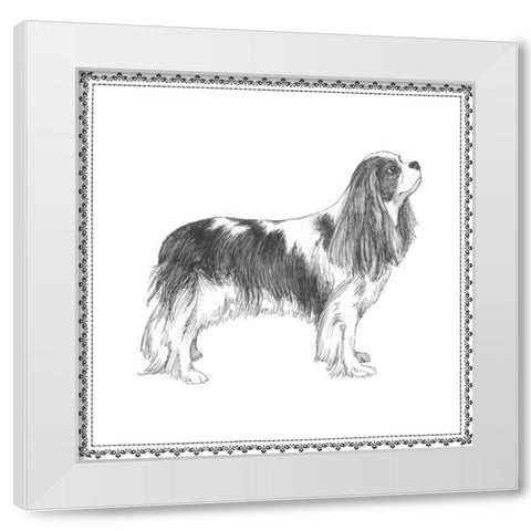 Best in Show IV White Modern Wood Framed Art Print by Meagher, Megan