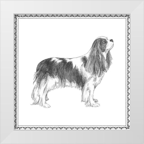 Best in Show IV White Modern Wood Framed Art Print by Meagher, Megan