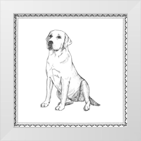 Best in Show XII White Modern Wood Framed Art Print by Meagher, Megan