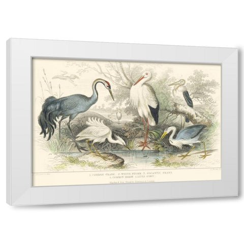 Herons, Egrets and Cranes White Modern Wood Framed Art Print by Stewart, J.