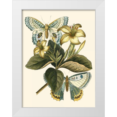 Butterfly Oasis IV White Modern Wood Framed Art Print by Vision Studio