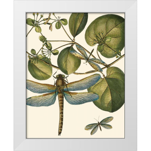 Dragonfly Medley I White Modern Wood Framed Art Print by Vision Studio