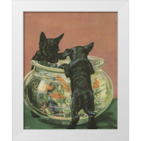 Terrier Trouble VI White Modern Wood Framed Art Print by Unknown