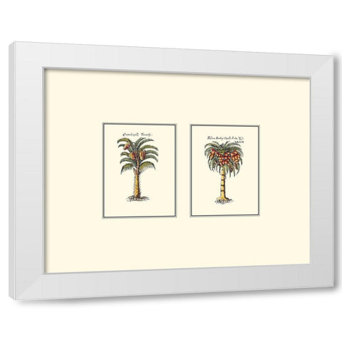 Miniature Palm II White Modern Wood Framed Art Print by Vision Studio