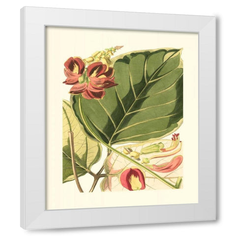 Fantastical Botanical I White Modern Wood Framed Art Print by Vision Studio