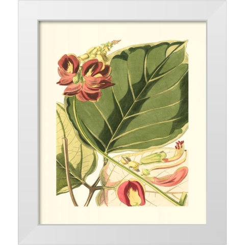 Fantastical Botanical I White Modern Wood Framed Art Print by Vision Studio