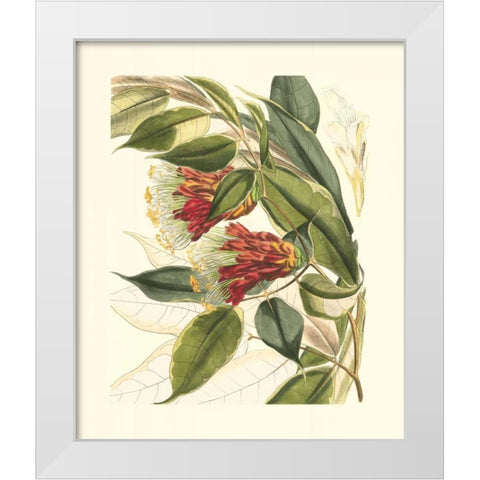 Fantastical Botanical II White Modern Wood Framed Art Print by Vision Studio