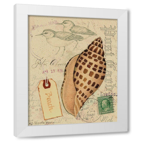 Postcard Shells I White Modern Wood Framed Art Print by Pallan, Nancy S.
